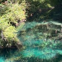 火5 山森共有グループ