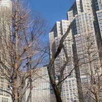 2026あさ陽会