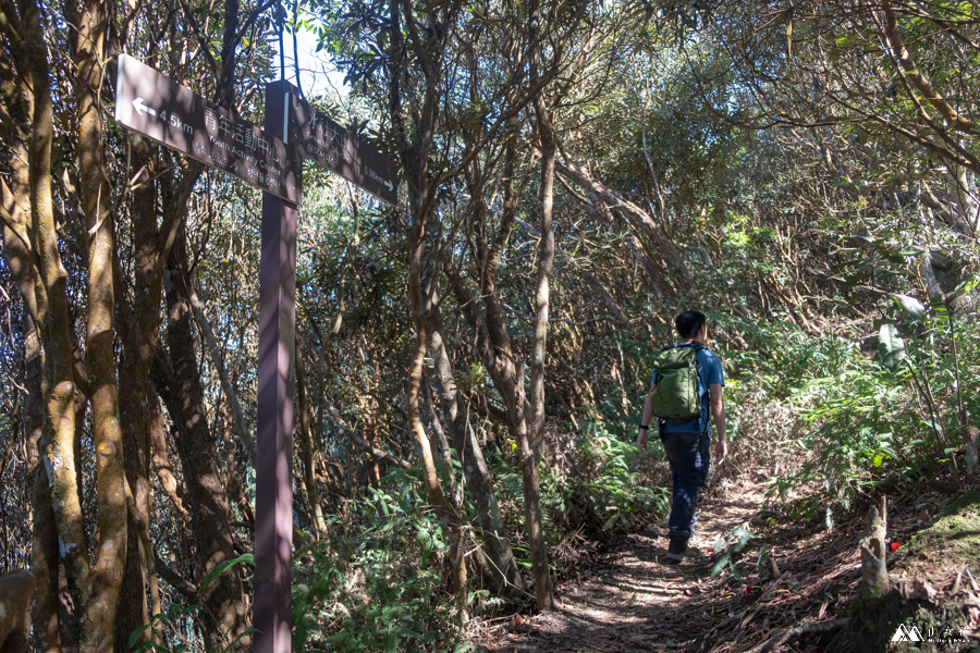 山女孩MelissaxMao冒險生活_水社大山_日月潭登山_路線分享-37.JPG