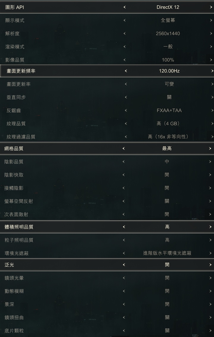 《惡靈古堡2重製版》的畫質設定如圖所示。