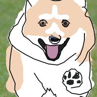 新竹交通糾察隊
