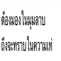 แดนซิ่งสีแสด 5/8