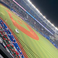 千葉ロッテマリーンズファンの集い