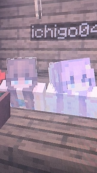 マイクラ組集合！(始めたてでもok)