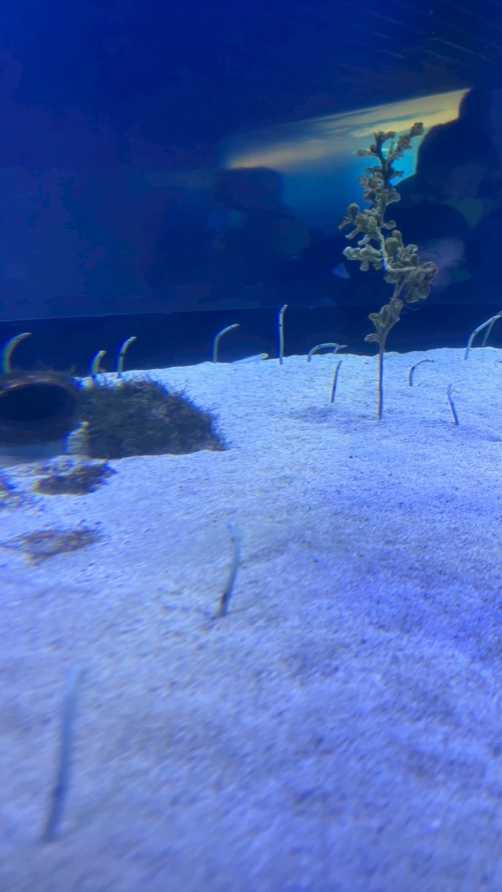 挑戰市場最低價😻