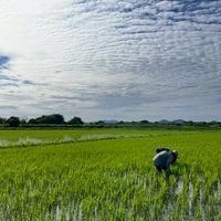 【風土food】農と暮らしLABO