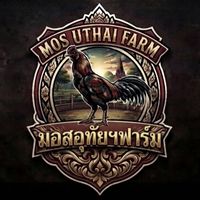มอสอุทัยฯฟาร์ม