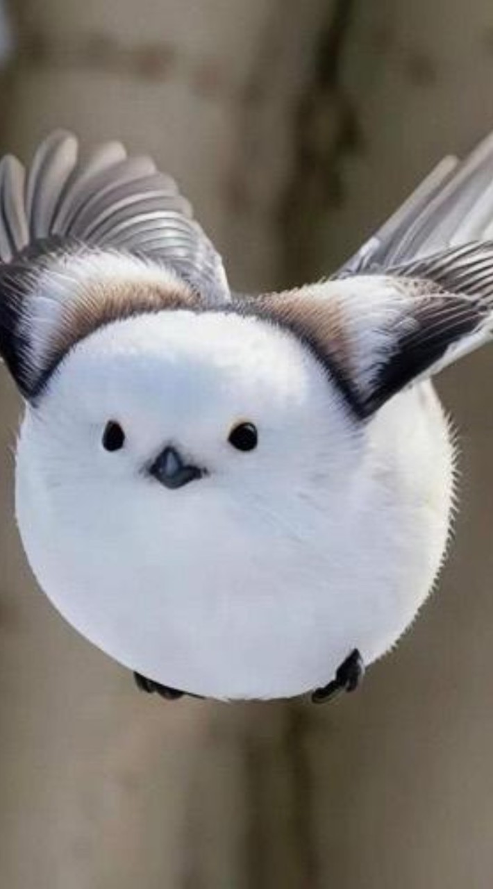 杏杏老師的隨意運動團