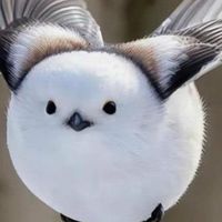 杏杏老師的隨意運動團