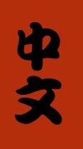 YZU Chinese Learning Activity