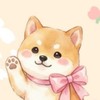 豆柴たんぽぽ🦊🌻