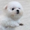 快樂的小夥伴們