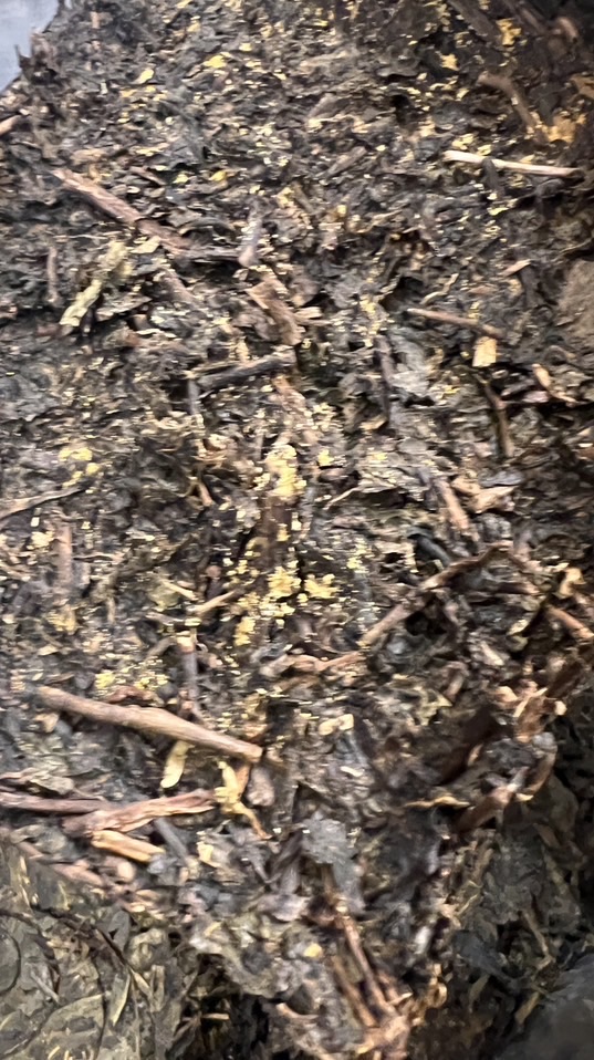 黑金的秘密㊙️喝黑茶 聊健康