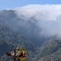 115-02-08武界雲海民宿