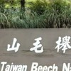 9/7日.山毛櫸國家步道，翠峰湖環山步道，望洋山步道
