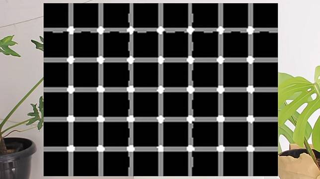 5 Ilusi Optik yang Akan Membuat Mata Kamu Kebingungan!