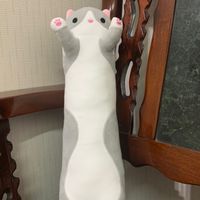挖挖酷寶