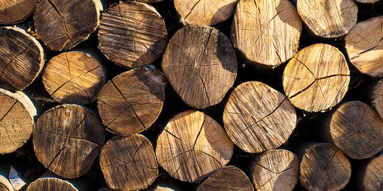 8 Jenis Kayu Yang Ada Di Indonesia Ketahui Manfaat Dan Kelebihannya Merdeka Com Line Today