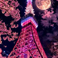 ーもしも、あの時にー
