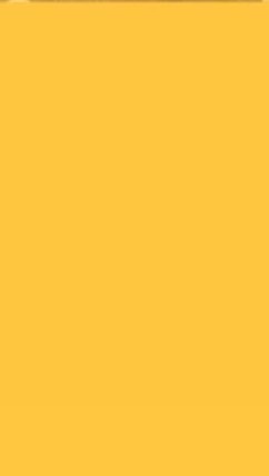 G3 yellow บักกระท้อน