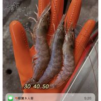 🦐蝦寶-無毒養殖《白蝦&蝦仁&虱目魚》