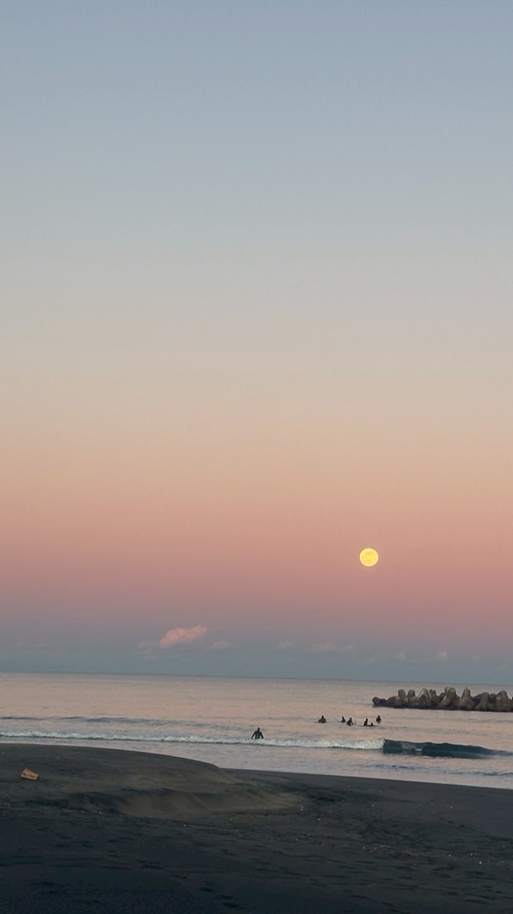 【公式】EAサーファー