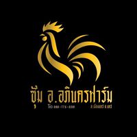 ขายไก่ชนคุณภาพดี ซุ้มอ.อภินครฟาร์ม .