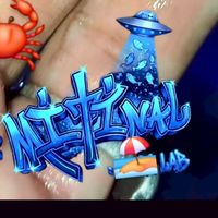 MITINAL SEA LAB V.2