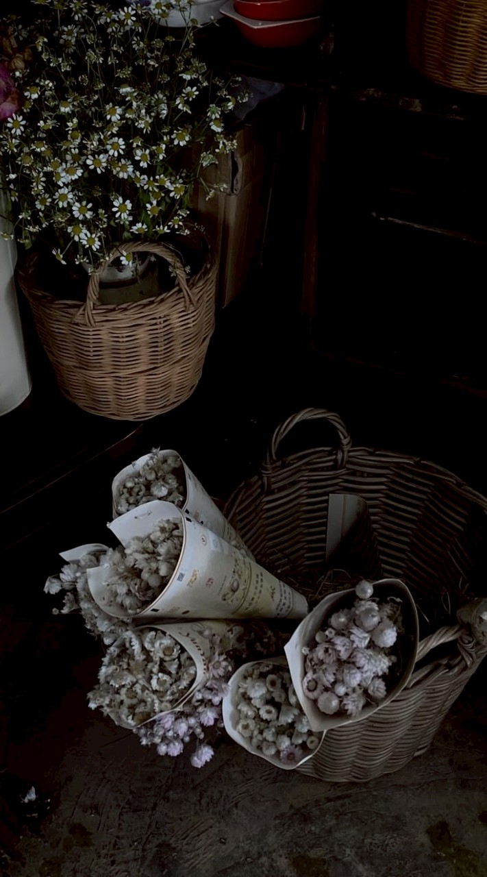 กลุ่ม¹  temu na ka🤍