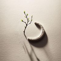 練習對照組