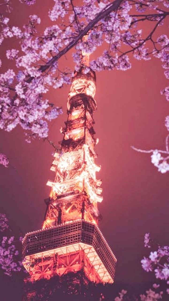 japan family open chat