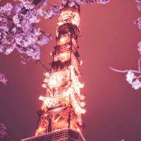 japan family open chat