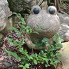 九州地方のメダカ好き集まれ！