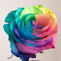 【お悩み相談】虐待被害者を助ける会🍀