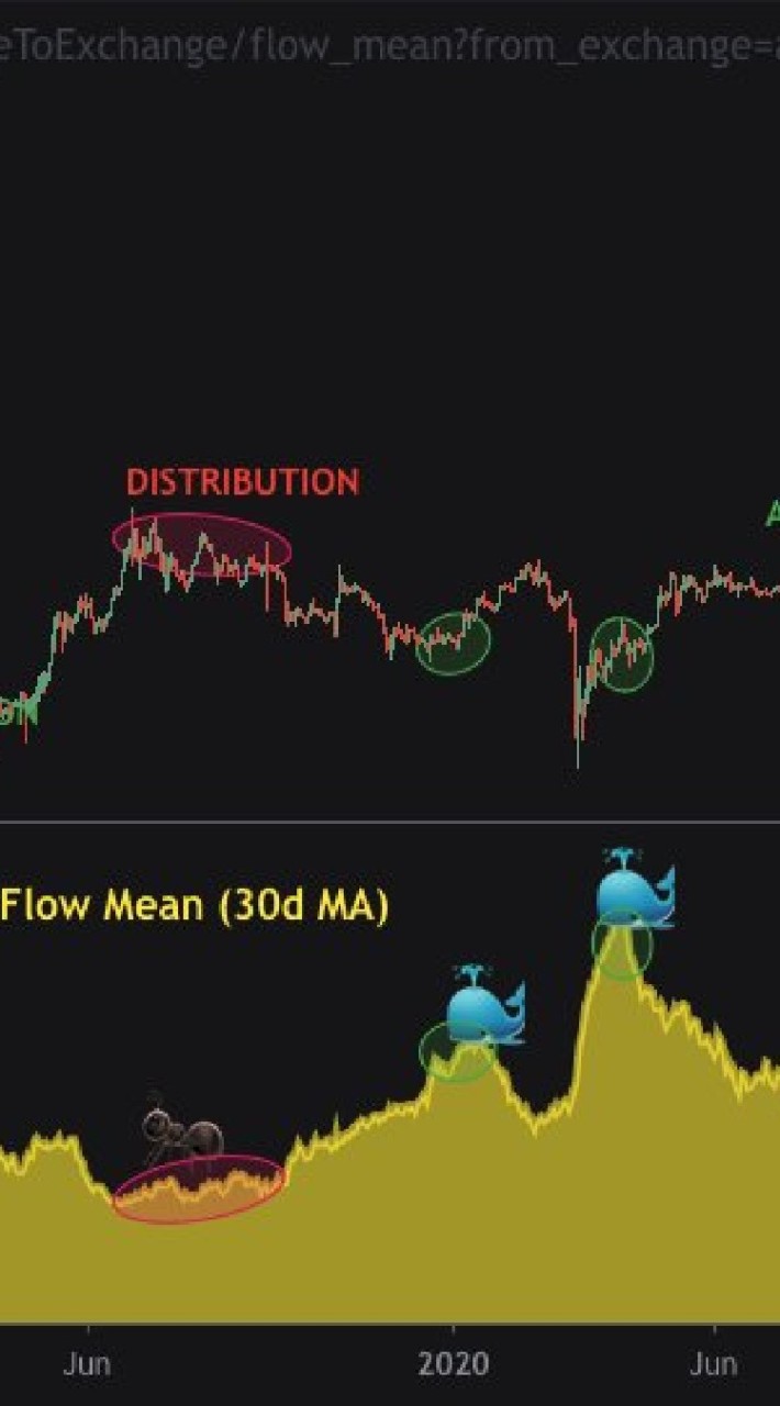 #FX #ぷーさん　#15年プラス　リアルトレード　#為替　#株　#仮想通貨　#暗号資産　#投資 OpenChat