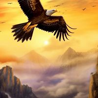🦅大漲宏圖📈