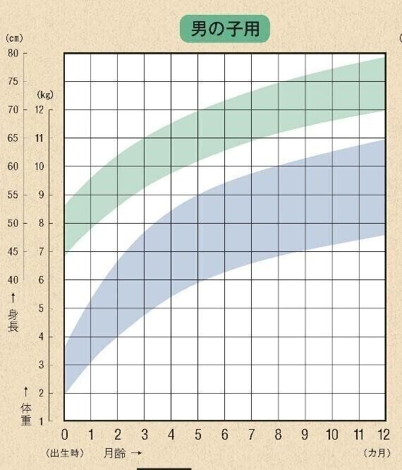 身長 体重が 乳幼児身体発育曲線の見方 活用方法