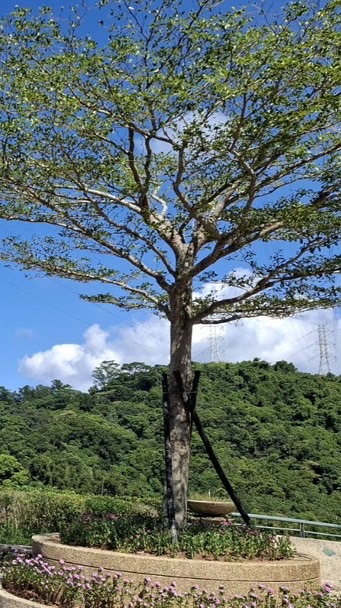 愛能量館預約群