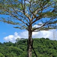 愛能量館預約群