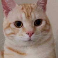 🐾陪毛毛🐾寵物大集合🐱🐶🐹🐭🐰🐢🐍🦜