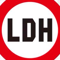 LDH家族