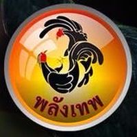 อาหารไก่ชน พลังเทพ