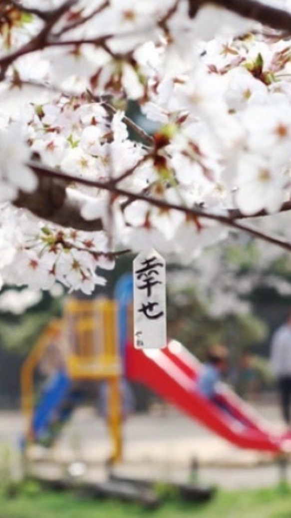 【關西紫陽花】6/1～10