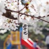 【關西紫陽花】6/1～10