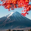 國外旅遊優惠速報✈️