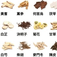 全方位草藥交流