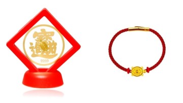 日本超夯的招財錢龜來囉！2023賺飽飽就靠它！