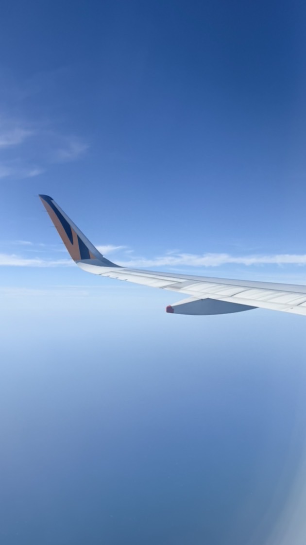 Fairytail.tw的日本好物代購🇯🇵☁️