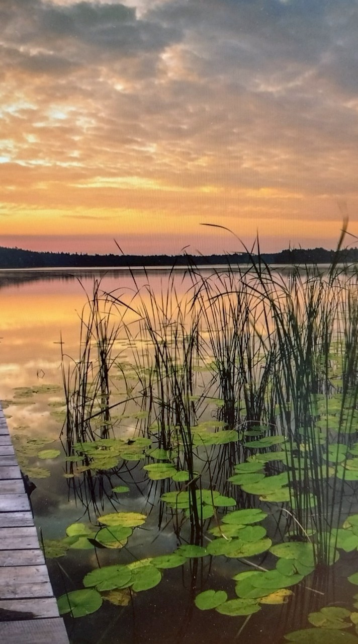 💞💞วัยรุ่นยุค 90💞💞💘💘 มาทางนี้คร้าบ💘💘ว่าง🥰เหงา🥰คุยกัน🥰