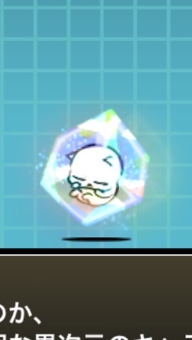にゃんこ協力隊